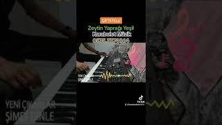 Zeytin Yaprağı Yeşil Korg Pa1000 Yeni versiyon...Piyanist: Hasan Karabulut Resimi