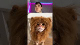 Download Lagu Probeer niet te lachen Challenge 145 😂 | Grappigste Amerikaanse video's 🇺🇸 #USA #AmericanComedy #... MP3 Download Lagu Probeer niet te lachen Challenge 145 😂 | Grappigste Amerikaanse video's 🇺🇸 #USA #AmericanComedy #... MP3