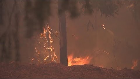 California Wildfires | Fast moving Mosquito Fire causes hardships for evacuees