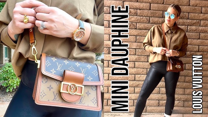 Mini Dauphine in 2023  St. charles, Louis vuitton, Dauphine