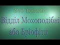 ЗНО Біологія.  Відділ Мохоподібні або Бріофіти