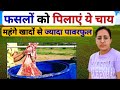 फसलों की चाय बनाने का सही फाॅर्मूला | Worm Tea | vermicompost se liquid fertilizer | kheti