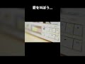 タイニーパンク/DOES【アコギ弾き語り】