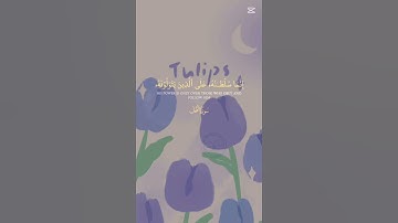 سورة النحل #السعودية #اكسبلور #لايك #المغرب