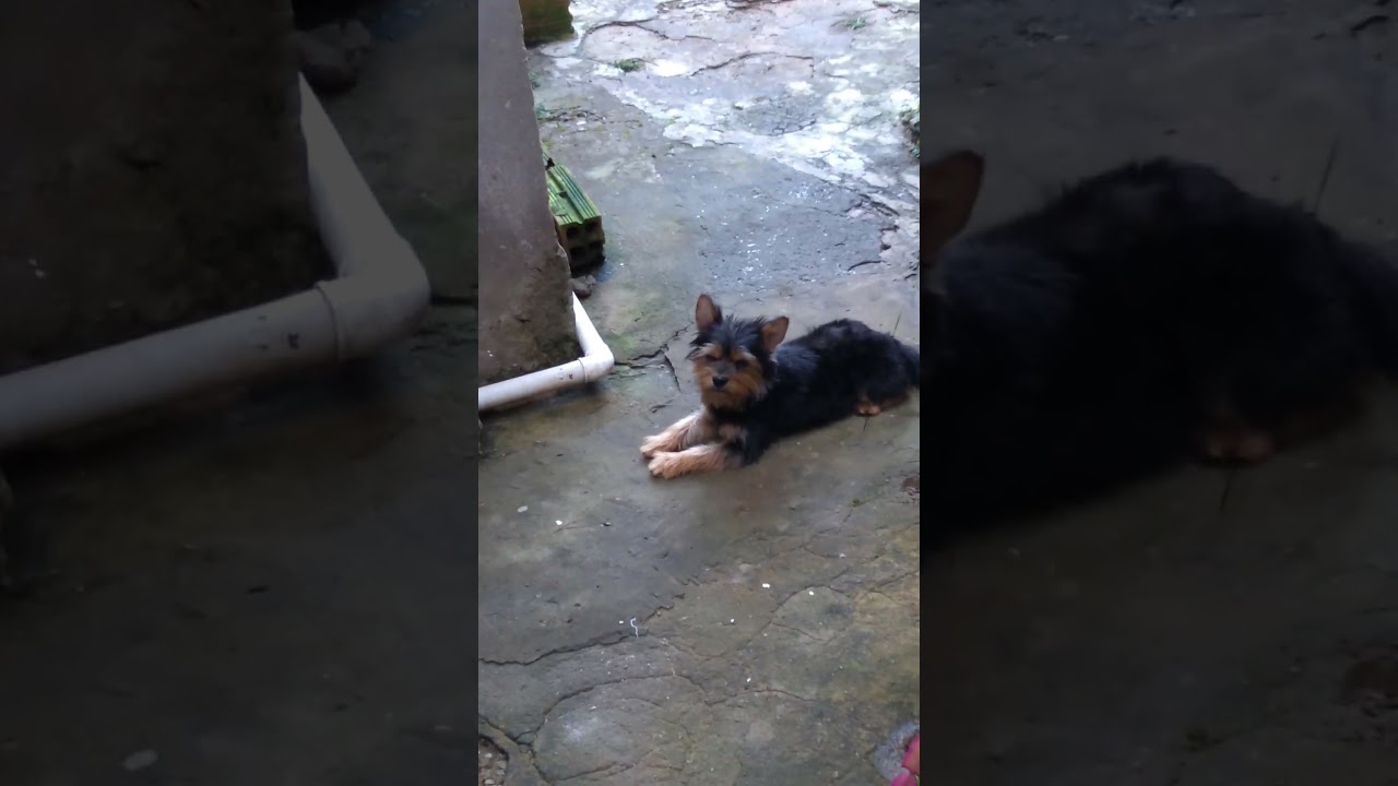 matando saudades do Mateus kkkk