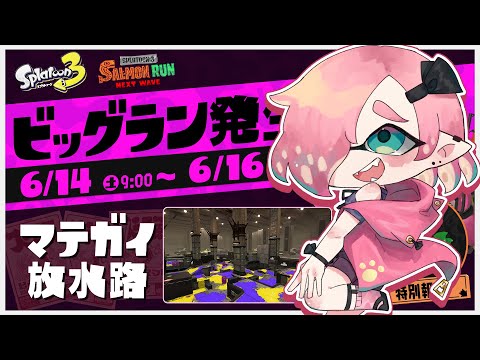 【参加型】ビッグランでブキランダム運試し！【Vtuber】