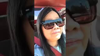 The Beautiful Horse Statue On Historic 25 Th St. In Ogden City