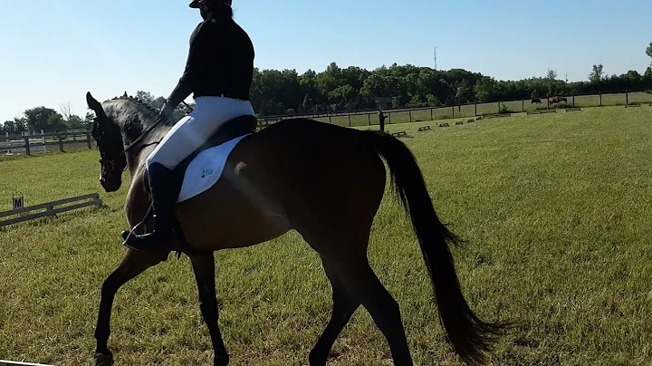 Karen Goetz 1st level Test A