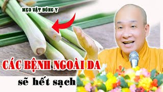 VIÊM DA CƠ ĐỊA - CHÀM - VẢY NẾN sẽ khỏi với những cách này - Thầy Thích Trí Huệ / Chùa Pháp Tạng