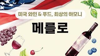 [미국 와인 & 푸드, 최상의 하모니 (6)] 메를로(Merlot)