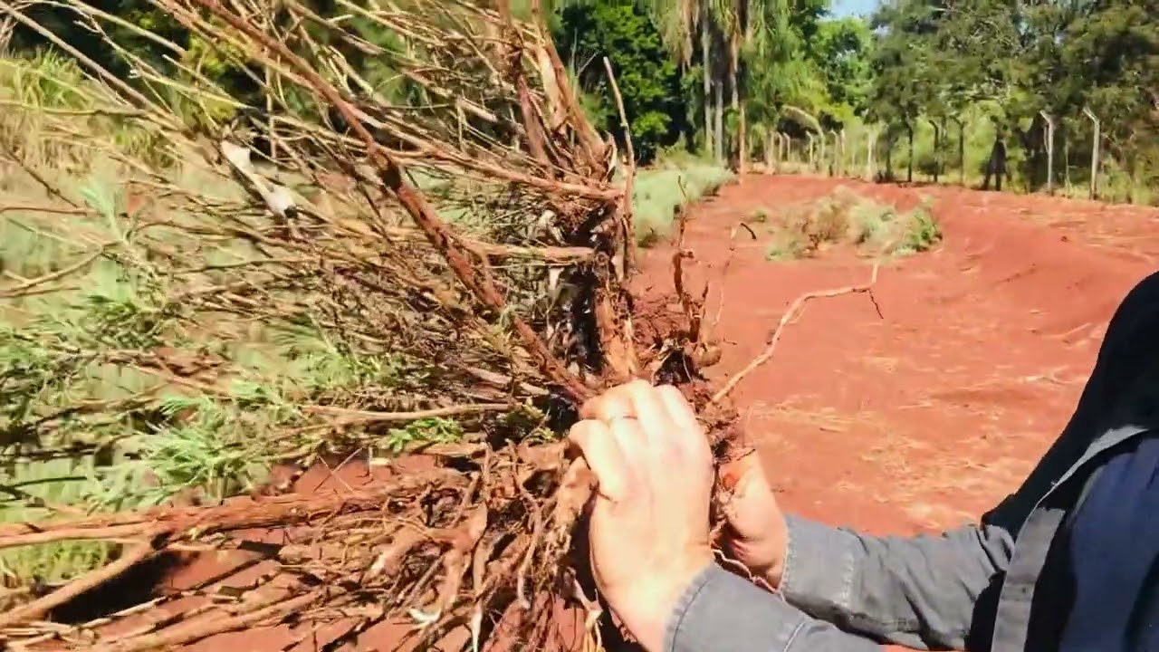 Secou, e agora? - Dicas do Tio Lavanda