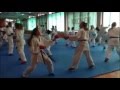 Kdnw offenes kadertraining  sichtung kumite am 11012014 in dortmund