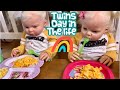 Ellie and everly day in the life with twin toddlers reborn role play