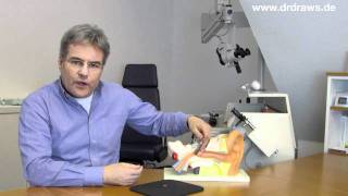 Paukenröhrchen Und Ihre Funktion - Hno Ratgeber Dr. Draws