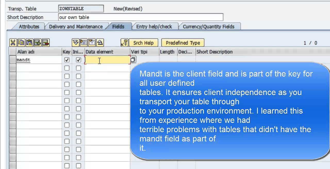 Abap Tutorial - 5 - Creating a database table on SAP