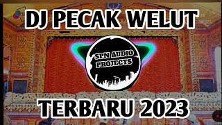 DJ PECAK WELUT TERBARU DJ TARLING PANTURA INDRAMAYU by SPN AUDIO PROJECTS