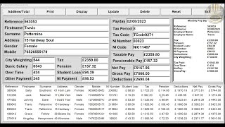 How to Create an Employment Data Management System with Excel as BackEnd in Python - Full Tutorial