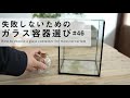 失敗しないための苔テラリウム【ガラス容器選び】|How to choose a glass container for moss terrarium #46