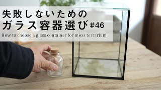 失敗しないための苔テラリウム【ガラス容器選び】|How to choose a glass container for moss terrarium #46