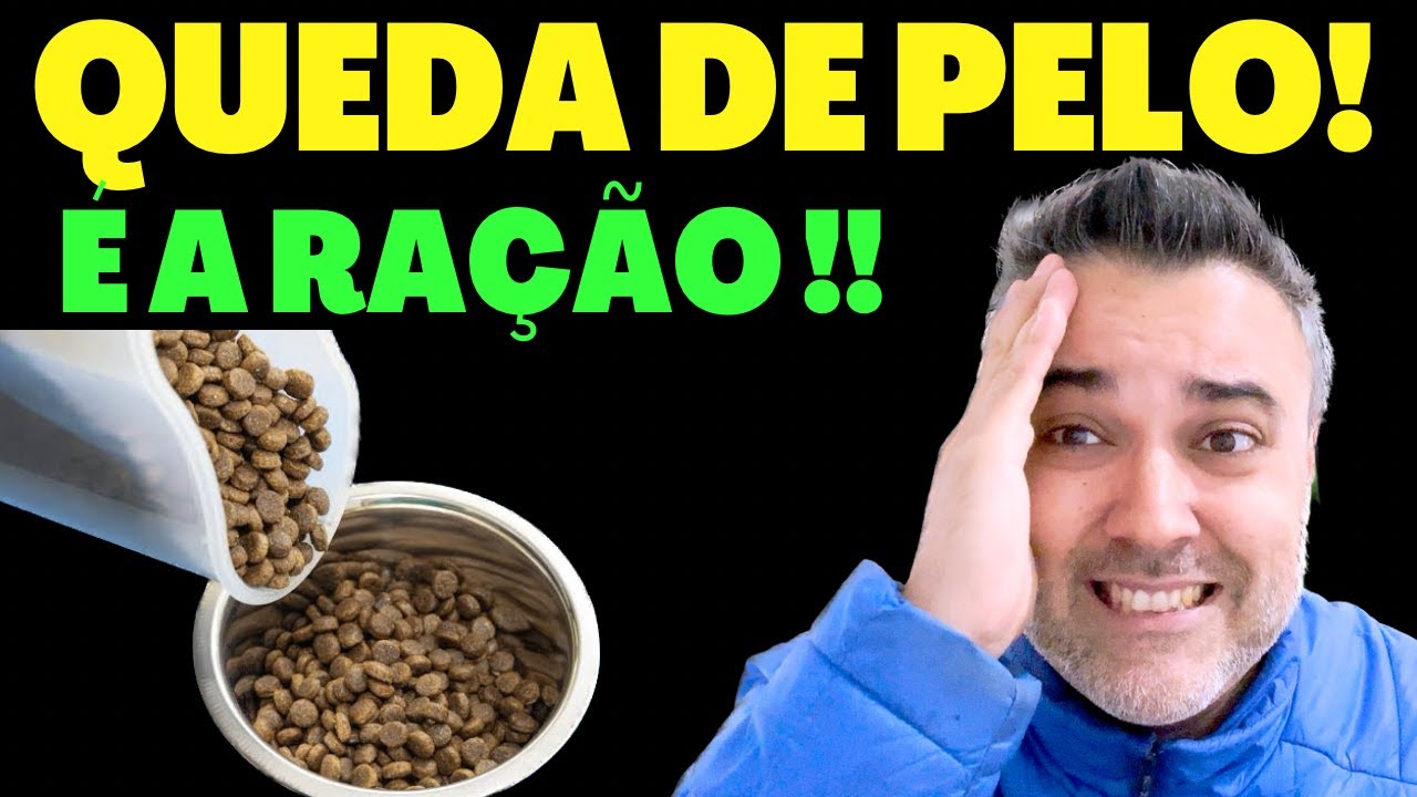 QUEDA DE PELO é a RAÇÃO!! | Cães e gatos - YouTube