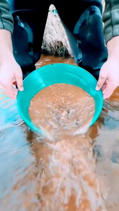 Penambangan EMAS tradisional langsung dari sekitar aliran sungai