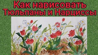 Как нарисовать Нарциссы и Тюльпаны урок How to draw Narcissus and Tulips tutorial 수선화 튤립 그림 그리기 Как нарисовать Нарциссы и Тюльпаны урок How to draw Narcissus and Tulips tutorial 수선화 튤립 그림 그리기