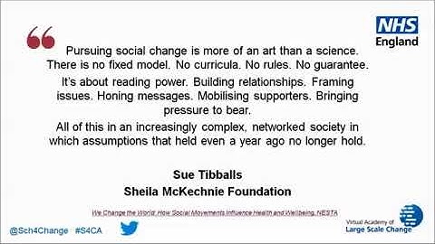 Virtual Academy of Large Scale Change: Mobilising and organising