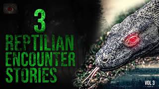 OUT OF THE WETLANDS IT CAME - 3 SCARY STORIES OF REPTILIAN CREATURES