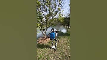 No Farmers Needed Inside China’s AI Powered Farms!