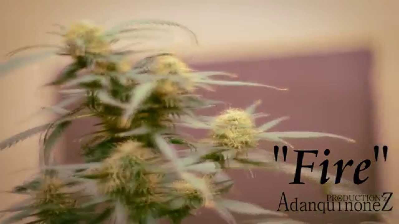 Adan Quinonez " F I R E " [ Official Teaser ]