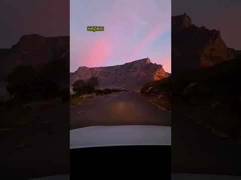 Очень важная пословица. #motivation #motivationalvideo #motivational #пословица #signalhill