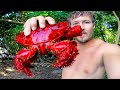 Rare King Crab & Coconut Crab - Eating Delicious Seafood
