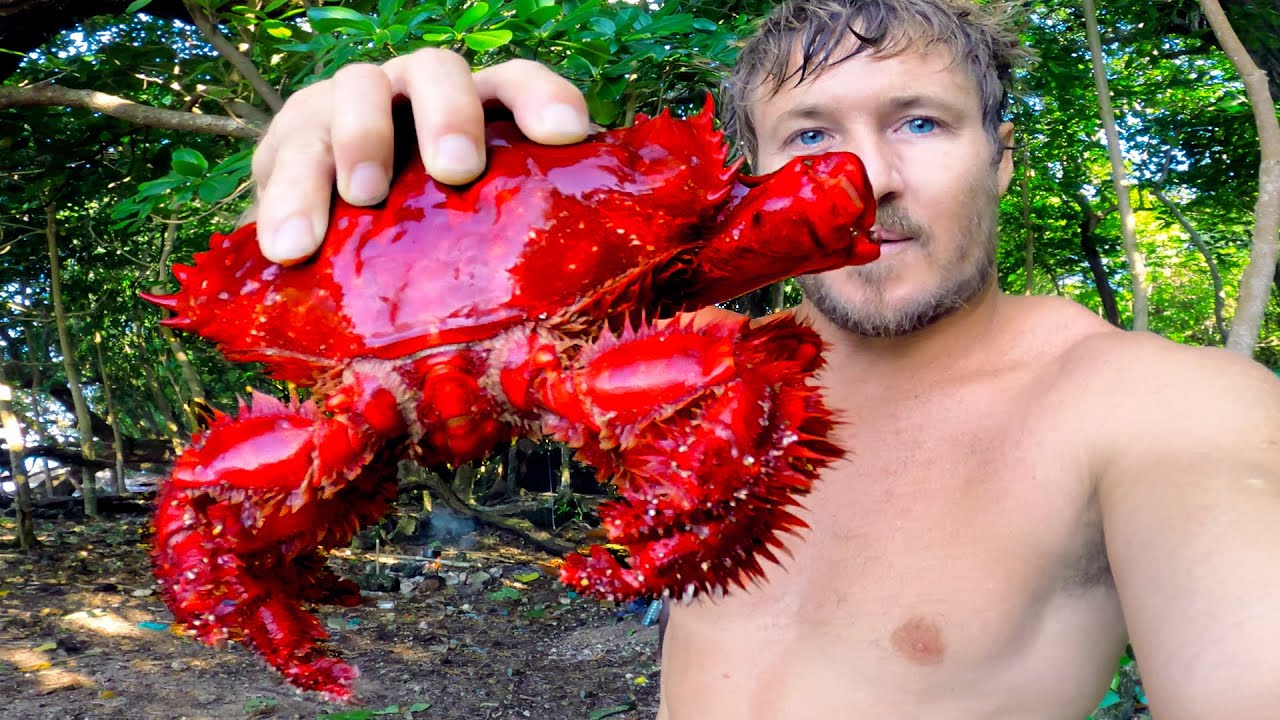 Rare King Crab & Coconut Crab - Eating Delicious Seafood - YouTube