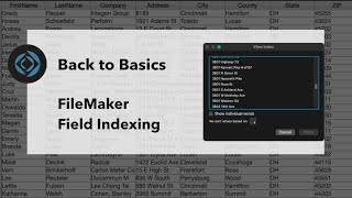 February, 2023 FileMaker STL Meetup: "Back to Basics - Field Indexing"