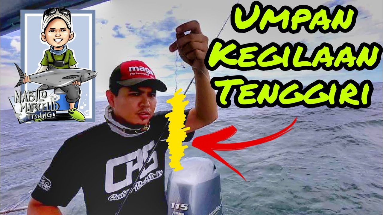 Umpan KEGILAAN Tenggiri | Memburu Tenggiri Kapal Taiping