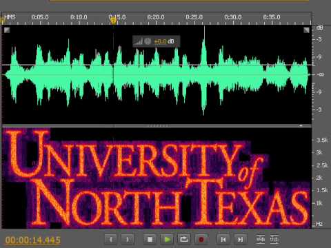 The UNT Logo in pink noise.