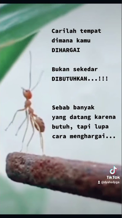 Carilah tempat dimana kamu dihargai