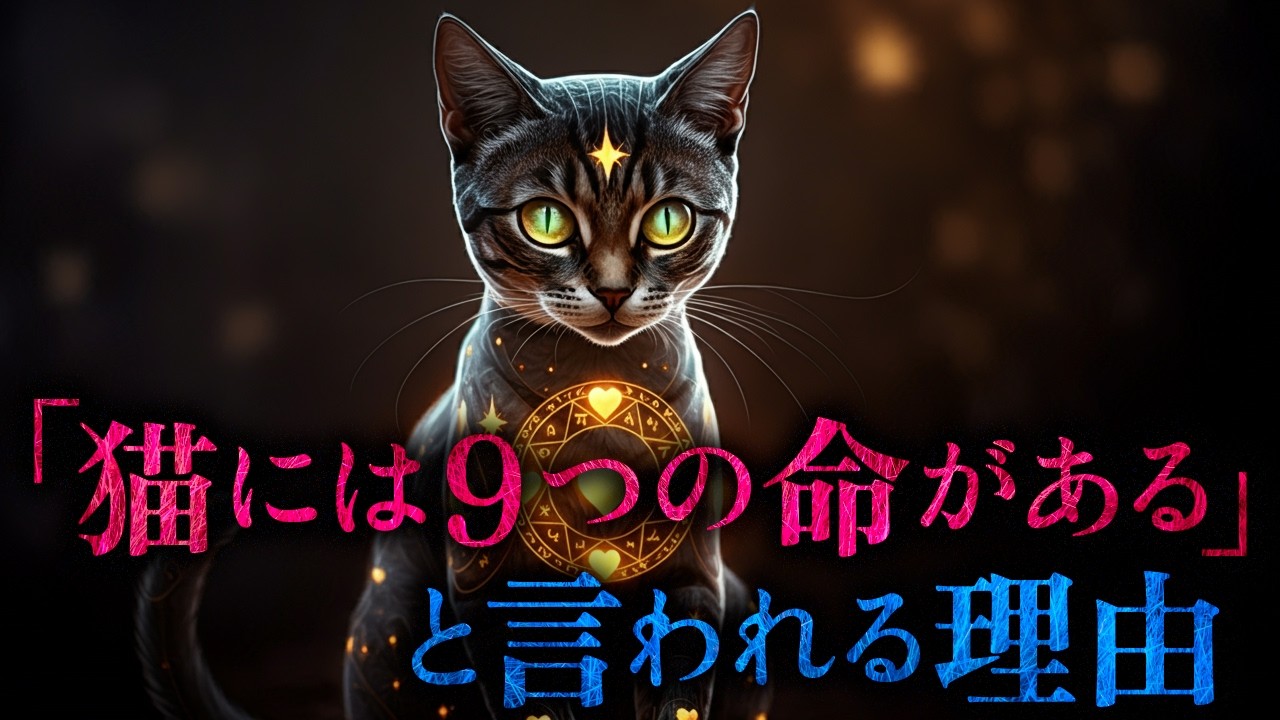 【伝承】猫には9つの命があると言われる理由｜「猫に九生あり」の本当の意味とは？
