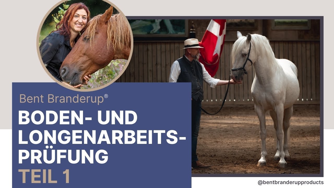 Boden- und Longenprüfung Teil 1 Kommunikative Longenführung: Technik (nicht nur) für Prüfungen 🎓