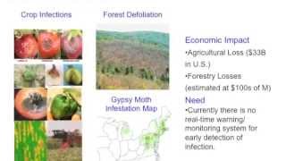 NSF i-Corps, Oct 2014, Team 415 Ag-Audit Technical Video