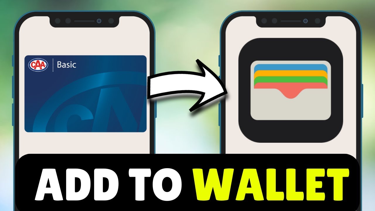 Как добавить карту CAA в Apple Wallet (2026) — Полное руководство