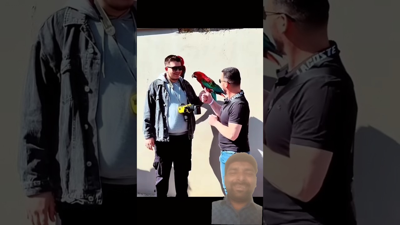 Introducing the "VitaWear SmartBand," a next-generation wearable gadget 906 