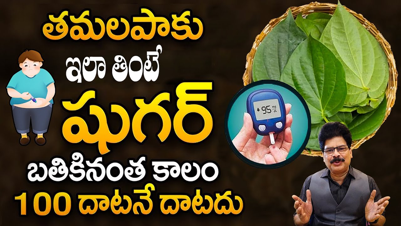 తమలపాకు ఇలా తింటే షుగర్ 100 దాటనే దాటదు | Diabetes | Betel Leaves
