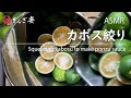 かぼすポン酢 作り カボス絞り 大量の カボス を ひたすら 切って 絞る 東京 銀座で１日１組 の ふぐ料理 店 、ぎんざ姿 の 天然とらふぐ 料理 ASMR #自家製ポン酢 #ポン酢 #ふぐの味