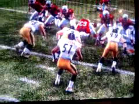 Madden 10 James Farrior blocked punt