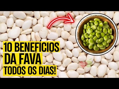 10 Benefits of Broad Beans: What They Are For and How to Use Them [DOES IT HAVE SIDE EFFECTS?]