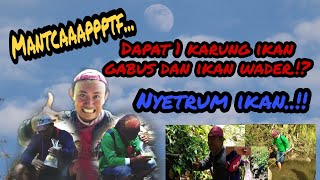 Download Lagu NYETRUM IKAN WADER || Di Sumber Mata Air Pegunungan Asli || Pasuruan Timur ❗❗ MP3