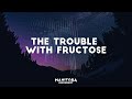 The Trouble With Fructose