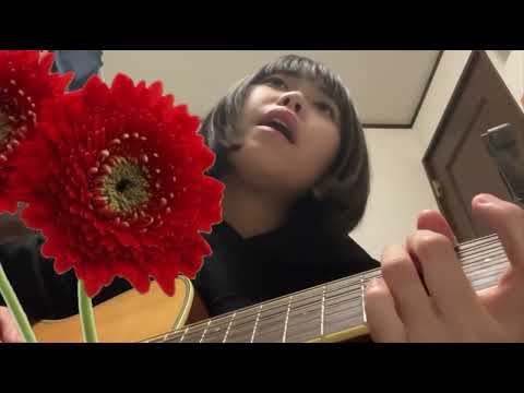 スピッツ　ガーベラ　かばー