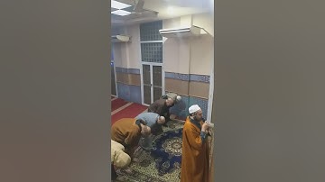 ربع و هو الذي مرج البحرين من سورة الفرقان محاكاة الشيخ المنشاوي مرتل